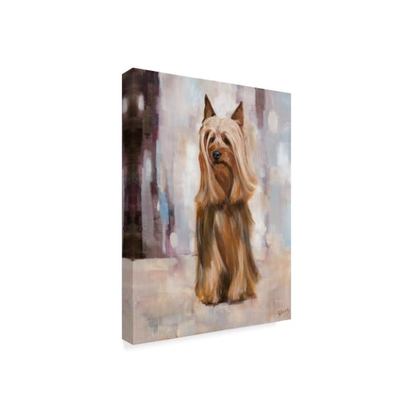 Solveiga 'Silky Terrier 1' Canvas Art,24x32